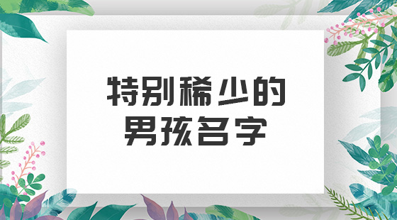 特別稀少男孩名字