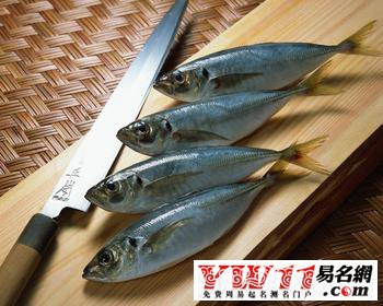 夢(mèng)見魚