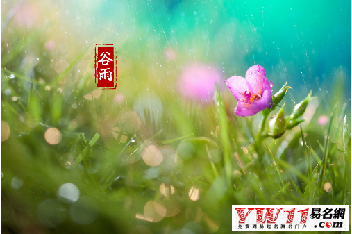 谷雨節(jié)氣養(yǎng)生