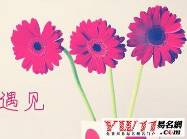 2020最新女生網(wǎng)名大全帶符號