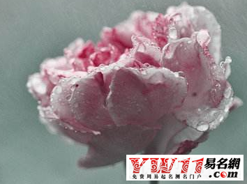 夢(mèng)見下雨是什么征兆？