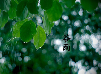 谷雨的俗有哪些