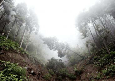 夢(mèng)見山體垮塌