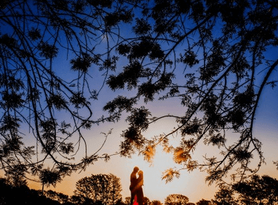 屬龍人未來十年運(yùn)勢如何