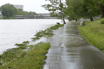 夢見暴雨