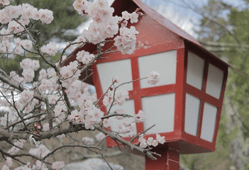 好聽(tīng)的日文男名字大全