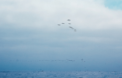 旅行簡(jiǎn)短文藝句子說(shuō)說(shuō)