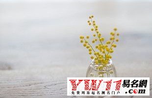 最唯美的兩字網(wǎng)名大全：斷弦ヽ