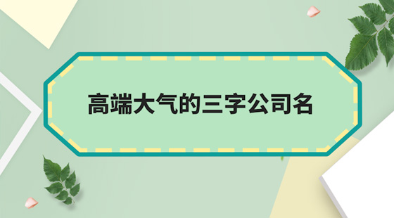 高端大氣的三字公司名