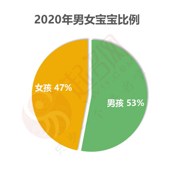 2020年度中國起名大數(shù)據(jù)報告白皮書