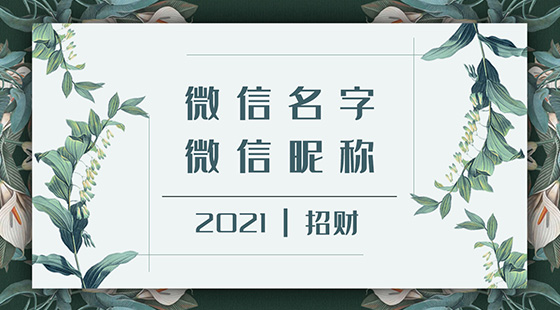 微信名字微信昵稱(chēng)2021最新招財(cái)