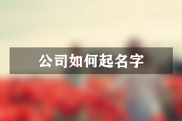 公司如何起名字