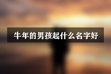 牛年的男孩起什么名字好