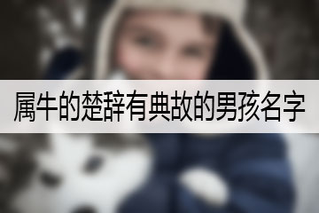 屬牛的楚辭有典故的男孩名字