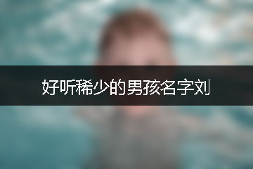 好聽稀少的男孩名字劉