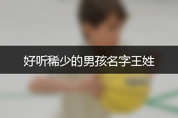 好聽稀少的男孩名字王姓