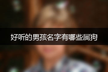 好聽的男孩名字有哪些屬狗