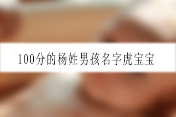 100分的楊姓男孩名字虎寶寶