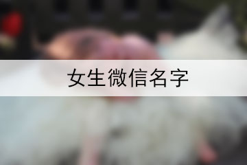 女生微信名字