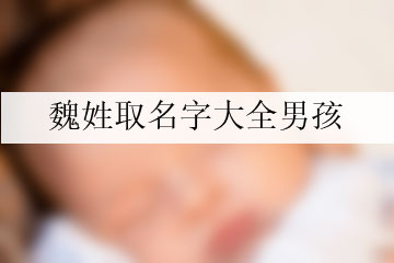 魏姓取名字大全男孩