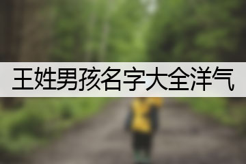 王姓男孩名字大全洋氣