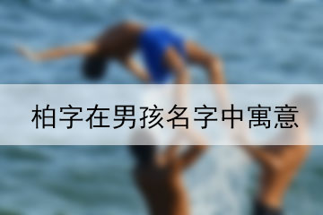 柏字在男孩名字中寓意