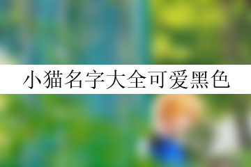 小貓名字大全可愛黑色