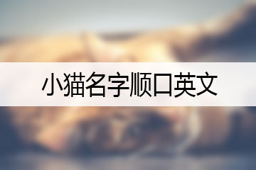 小貓名字順口英文