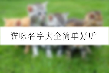 貓咪名字大全簡單好聽