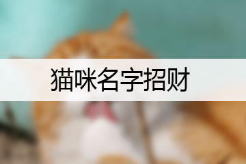 貓咪名字招財(cái)