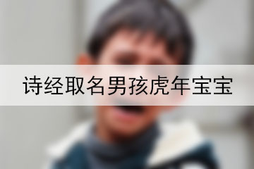 詩(shī)經(jīng)取名男孩虎年寶寶