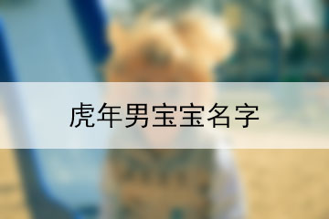 虎年男寶寶名字