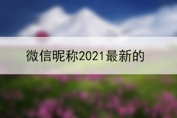 微信昵稱2021最新的