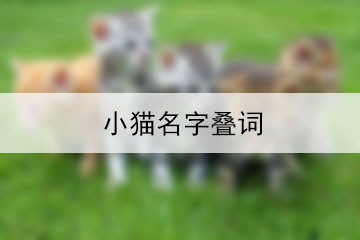 小貓名字疊詞