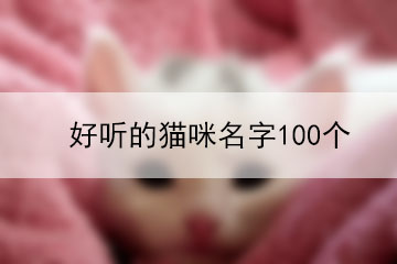 好聽的貓咪名字100個(gè)