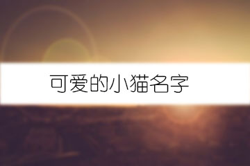 可愛的小貓名字