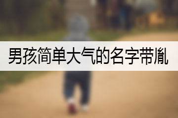 男孩簡單大氣的名字帶胤