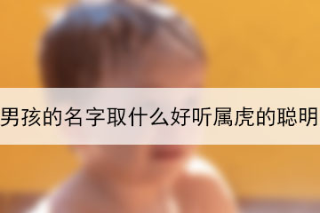 男孩的名字取什么好聽屬虎的聰明