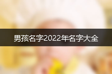 男孩名字2022年名字大全