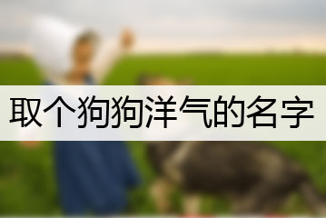 取個狗狗洋氣的名字