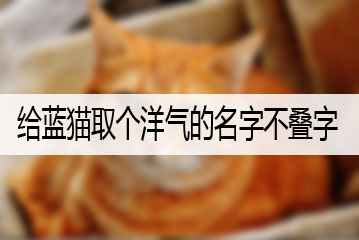 給藍(lán)貓取個洋氣的名字不疊字