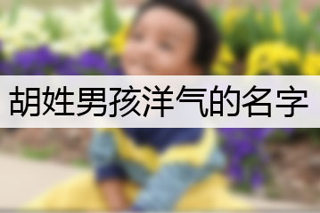 胡姓男孩洋氣的名字