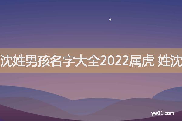 沈姓男孩名字大全2022屬虎 姓沈的男孩名字有詩意高雅的